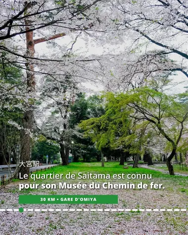 La gare d'Omiya se situe dans le quartier de Saitama, connu pour son Musée du Chemin de fer