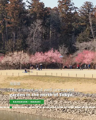 Kairakuen, the ancient and well-preserved garden in the north of Tokyo