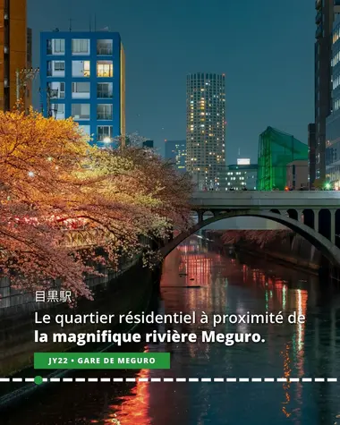 Meguro, quartier résidentiel à proximité de la magnifique rivière Meguro