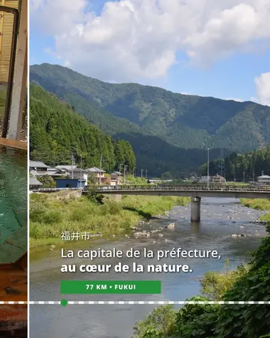 Fukui, capitale de la préfecture au cœur de la nature 