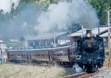 Paleo Express