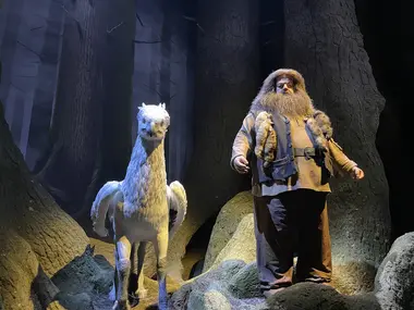 Hagrid et Buck