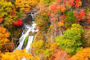 chutes de kirifurino, nikko, préfecture de tochigi