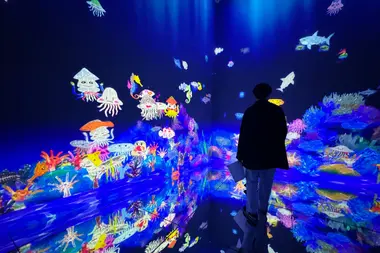 Future Park "Sketch Ocean" at TeamLab Borderless