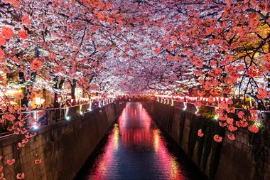 La rivière Nakameguro de nuit