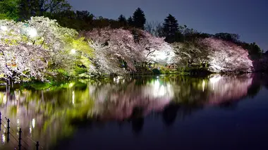 inokashira park tokyo murakami