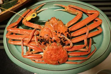 Echizen Crabs