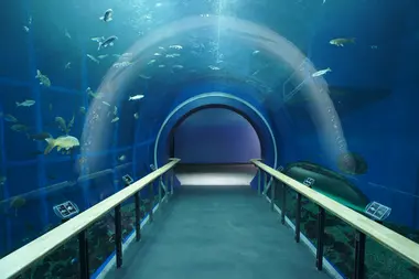 Lake Biwa Aquarium, Japan