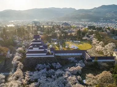 Sakura around Tsuruga Castle in Aizu Wakamatsu, Fukushima Prefecture