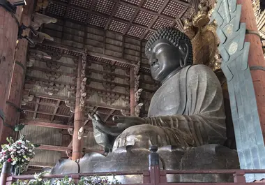 Daibutsu of Nara