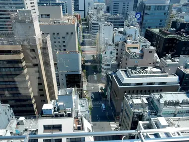 View of Ginza from the Ginza Six Rooftop Garden