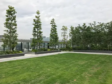 Ginza Six Rooftop Garden grass zone