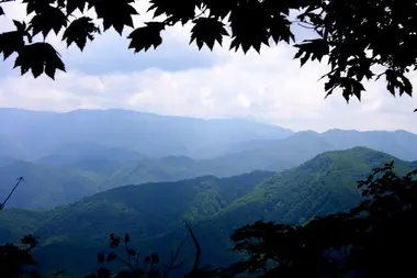 Shirakami-sanchi