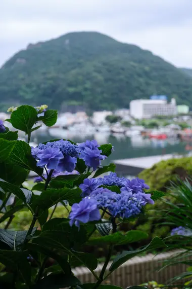 Shimoda