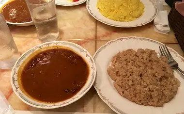Milan Natarajc