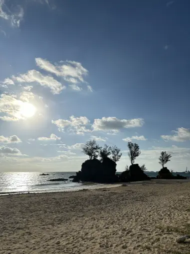 sedake beach okinawa trees