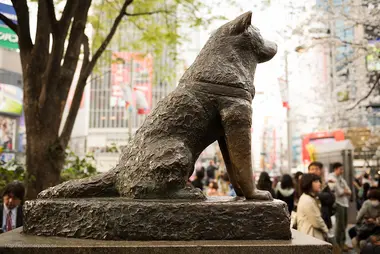 Hachiko Statue at Shibuya Station