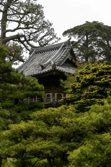 Temple