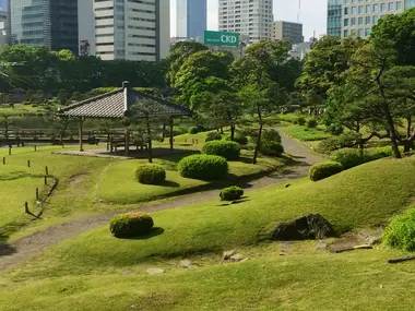 Kyu Shiba Rikyu