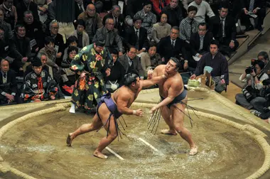Match de Sumo