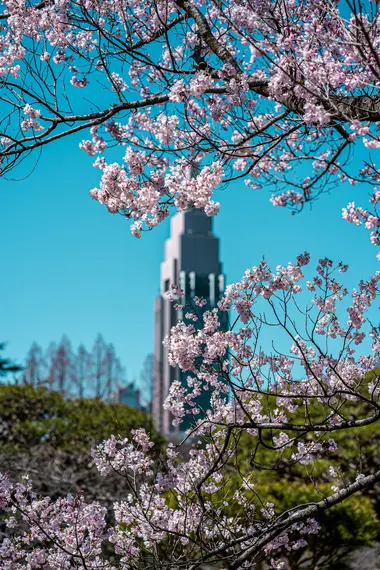 Shinjuku Gyoen