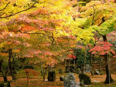 L'automne dans la préfecture de Fukuoka