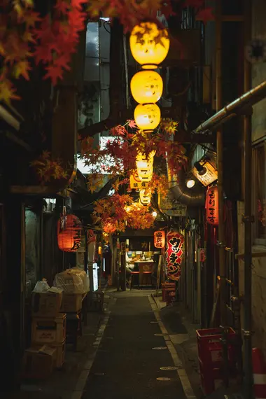 Omoide Yokocho (Shinjuku)