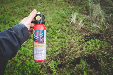 Bear spray