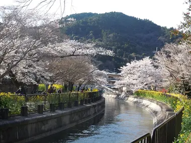 Lake Biwa Canal in spring