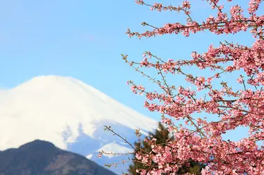 Mount Fuji from Nishihirabatake Park in Kanagawa