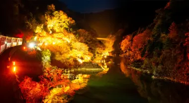 Illuminations d'automne (Sagano Romantic Train)