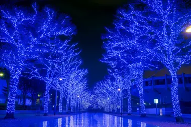 Shibuya Ao no Dokutsu