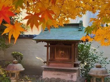 Changing koyo at Tennoji