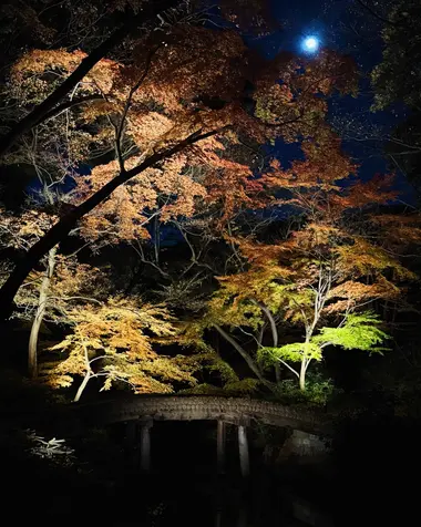 Rikugien Autumn Illumination