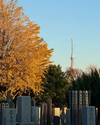 Tokyo Skytree from Yanaka Cemetery