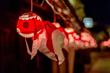 Yanai Goldfish Lantern Festival (Yamaguchi)