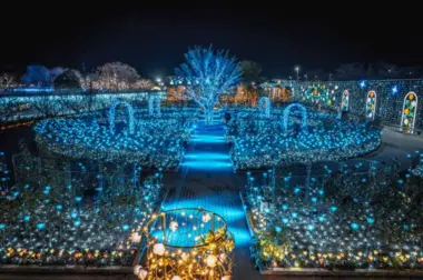 Illuminations au parc floral d'Ashikaga