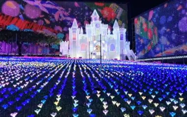 Illuminations au parc floral d'Ashikaga