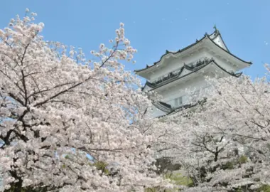 Le château d’Odawara au printemps