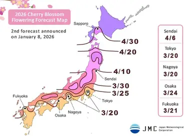 Cherry Blossom Forecast in Japan 2026