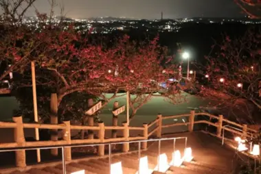 Festival des cerisiers de Yaese