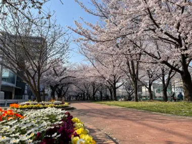 Parc Sanno (Fukuoka)