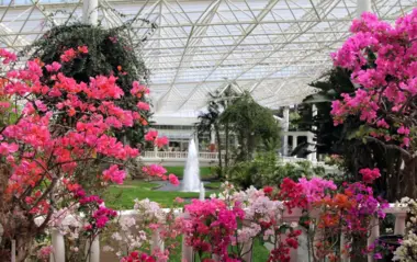 Flower Park Kagoshima