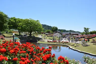 Higashizawa Rose Festival