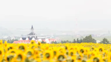 Hokuryu Sunflower Village