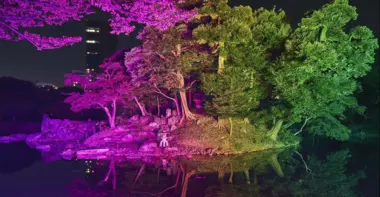 Illuminations Koishikawa Korakuen