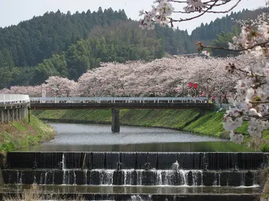Miyagino Hayakawa Riverbank