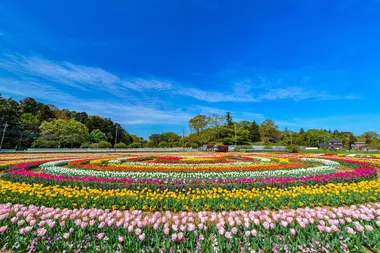 Nabana no Sato Flower Park