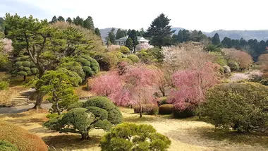 Onshi Hakone Park