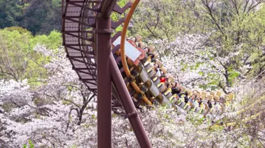 Yomuriland au printemps